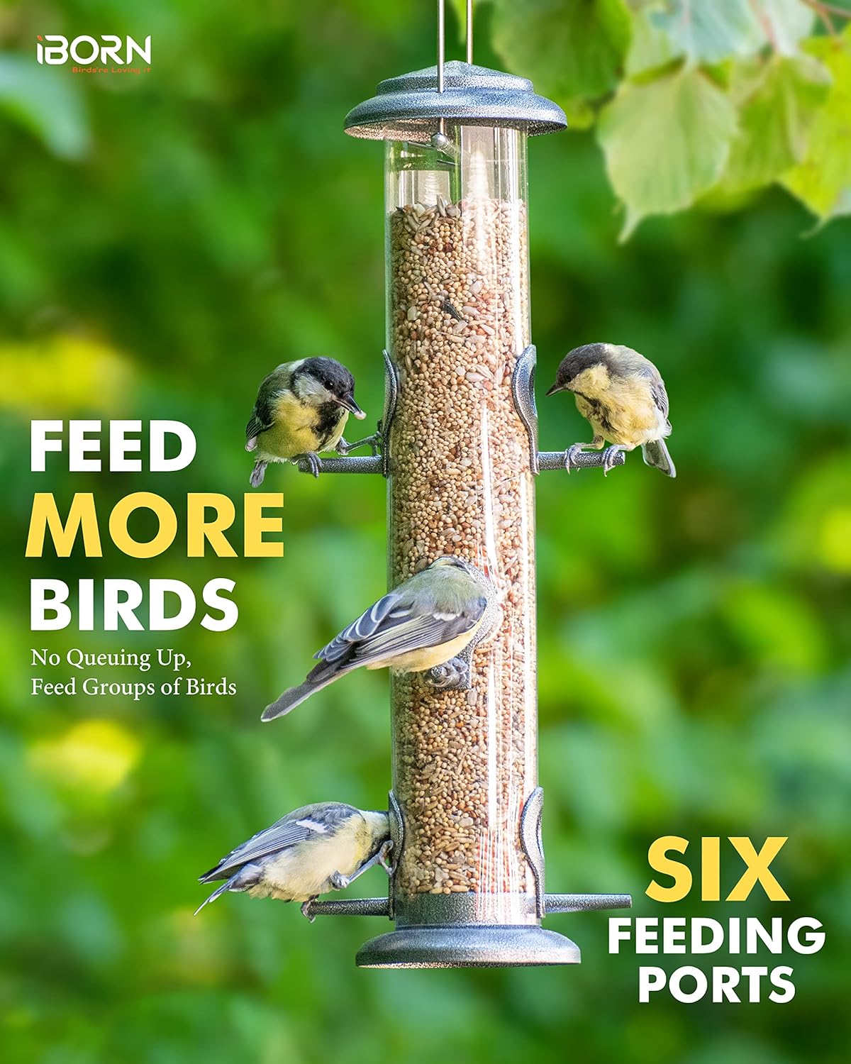 iBorn Metal Bird Feeder Hanging Wild Bird Seed Feeder for Mix Seed Blends Heavy Duty All Metal Silver Finish,14 Inch 6 Port(Seed is not Included)