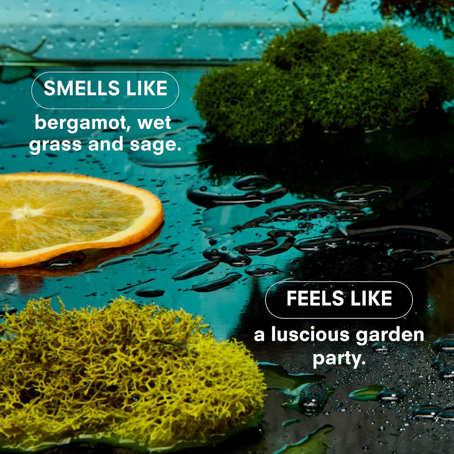 Boy Smells Grass Scented Candle - 8.5 oz - Home Candle with Bergamot, Fresh Sage, and Wild Grass Notes - Up to 50-Hour Burn - Cotton Wick